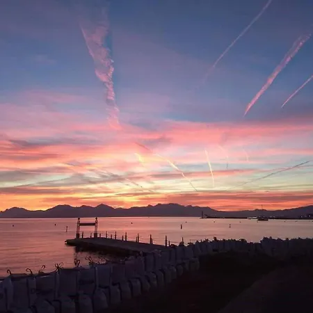 Apartment Les Algues T2 Cannes